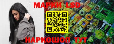 крисы Гай