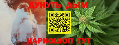 крисы Гай