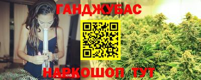 крисы Гай