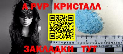 крисы Гай