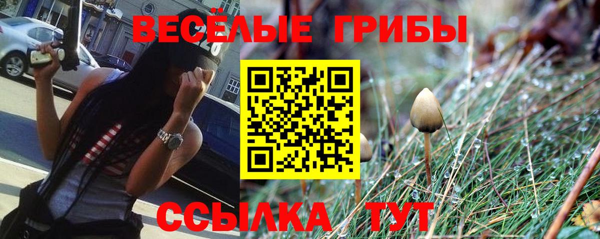 Одинцово  Галлюциногенные грибы Psilocybe  Вход с VPN  Галлюциногенные грибы Psilocybine cubensis 