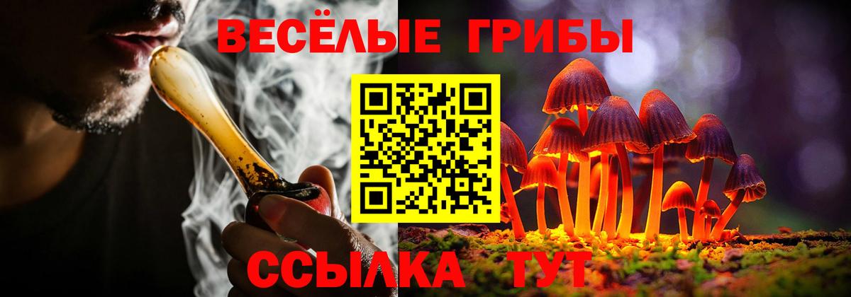 Галлюциногенные грибы Psilocybe Одинцово